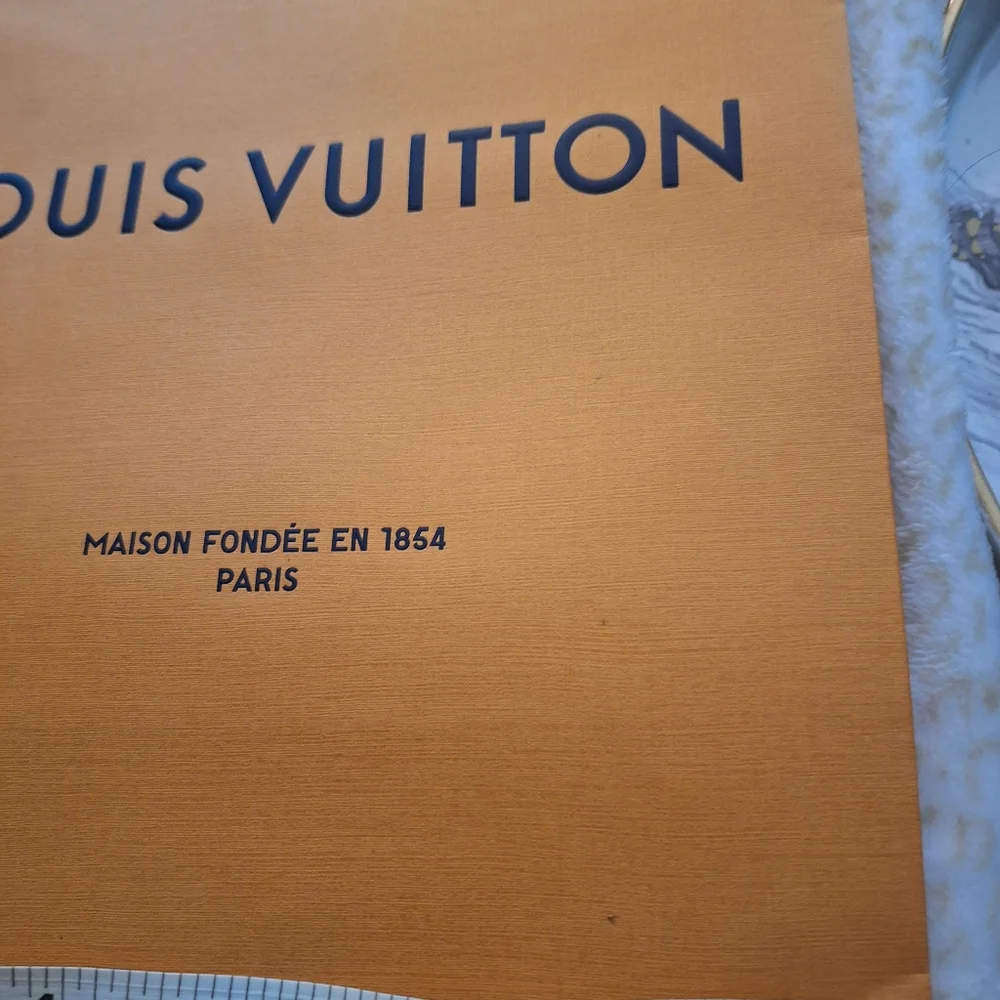 Louis Vuitton Paper Bag